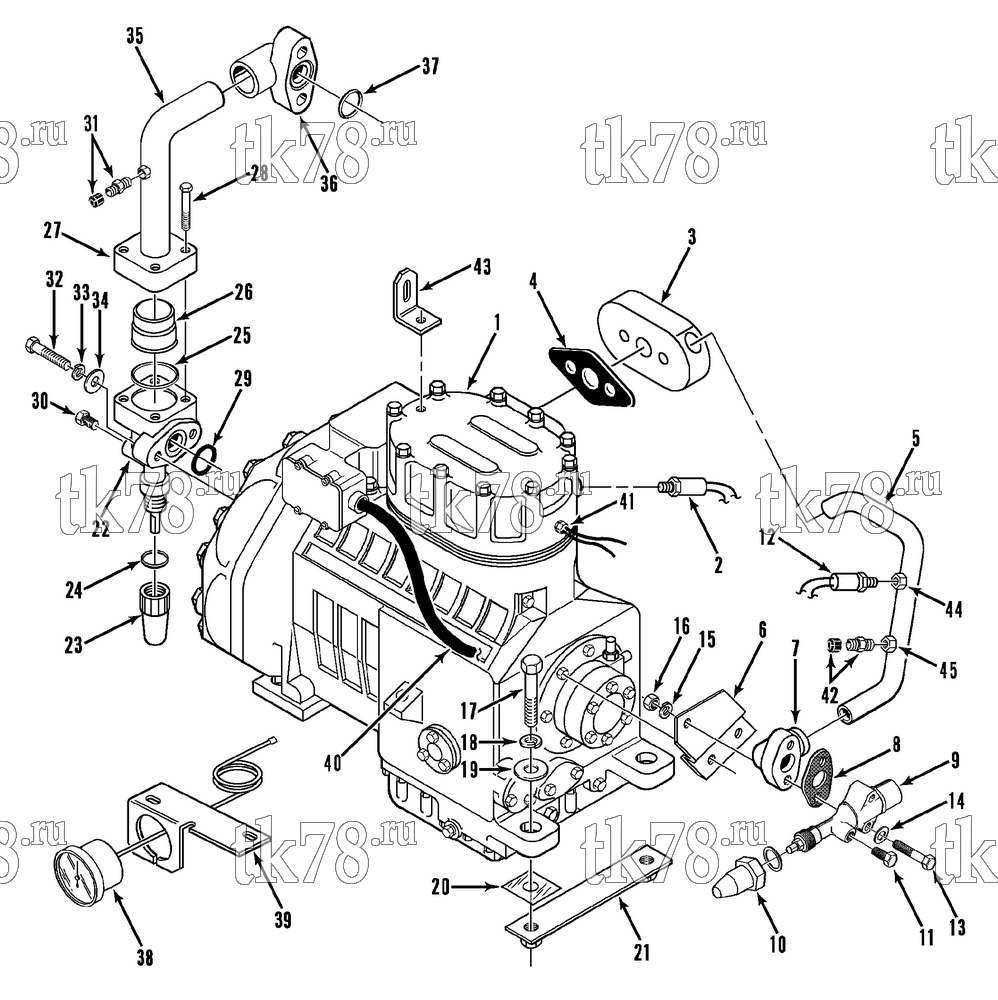 Каталог запчастей для Thermo King  COMPRESSOR GROUP (M37, M37.1)