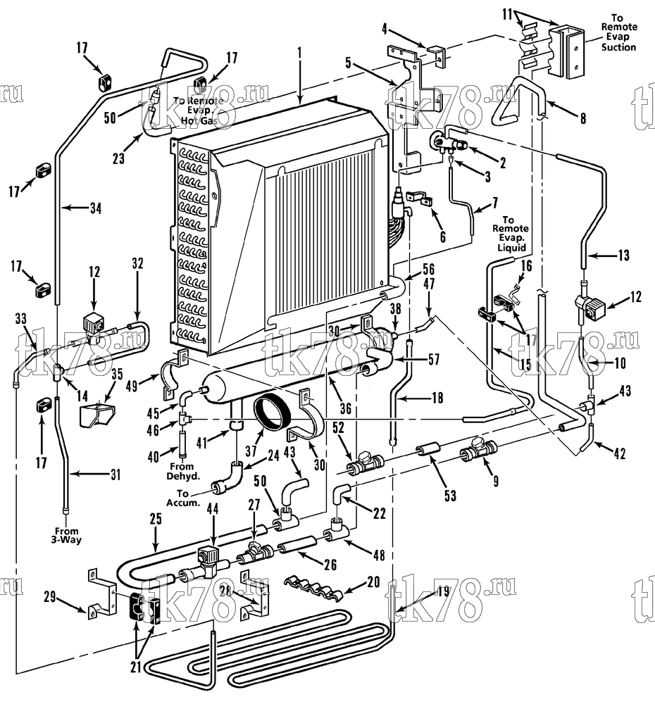 Каталог запчастей для Thermo King Super-II Multi-Temp w/se 2.2 Engine REFRIGERATION - EVAPORATOR (TCI-2, 1/96 & After)