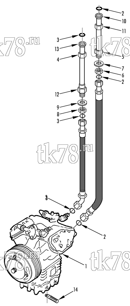 Каталог запчастей для Thermo King  COMPRESSOR CONNECTIONS (815511)
