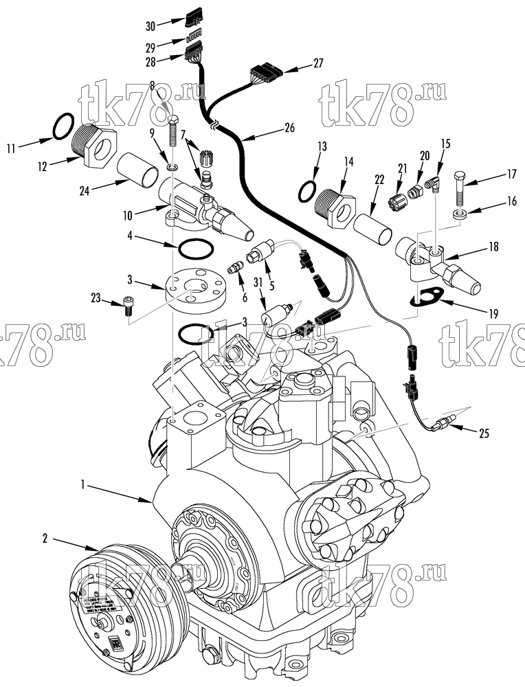 Каталог запчастей для Thermo King  COMPRESSOR GROUP (2C45049G01, KIT 719111)