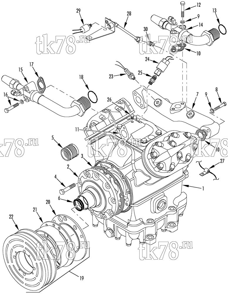 Каталог запчастей для Thermo King  COMPRESSOR GROUP (5D37227G31, KIT 718147)