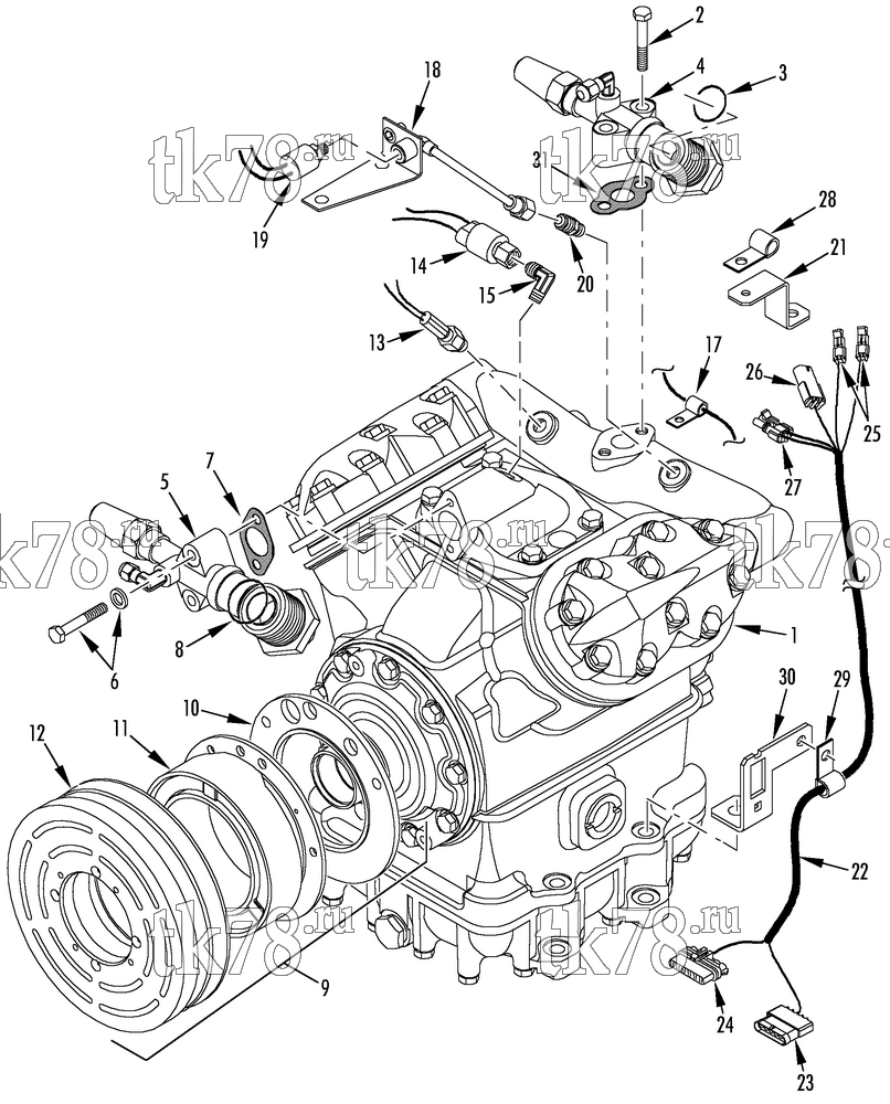 Каталог запчастей для Thermo King  COMPRESSOR GROUP (2C46301G01, KIT 719283)