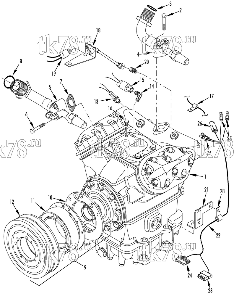 Каталог запчастей для Thermo King  COMPRESSOR GROUP (2C46301G03, KIT 720322)