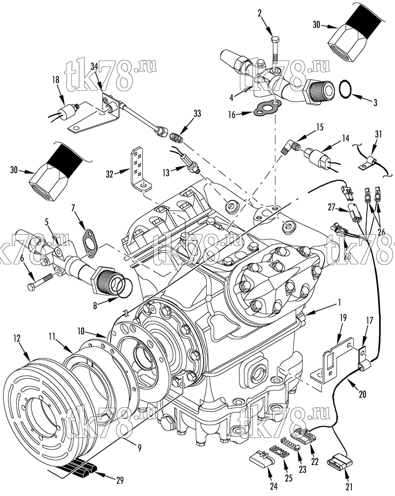 Каталог запчастей для Thermo King  COMPRESSOR GROUP (1E23524G01, KIT 700167)