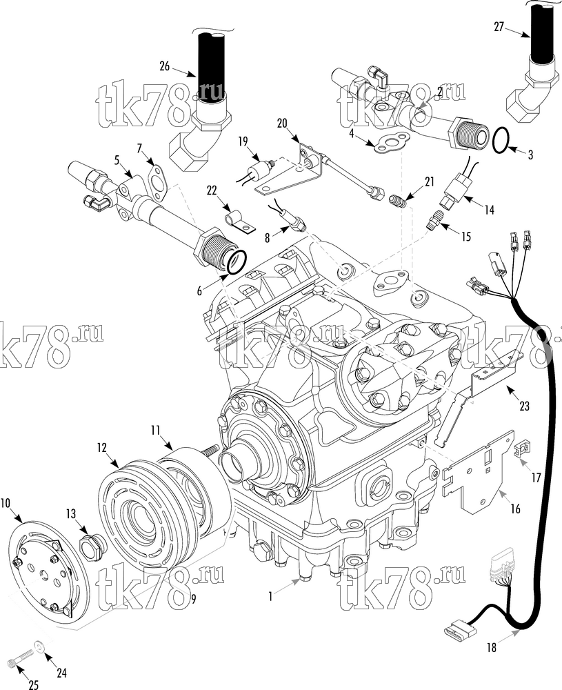 Каталог запчастей для Thermo King  COMPRESSOR GROUP (KIT 703803)