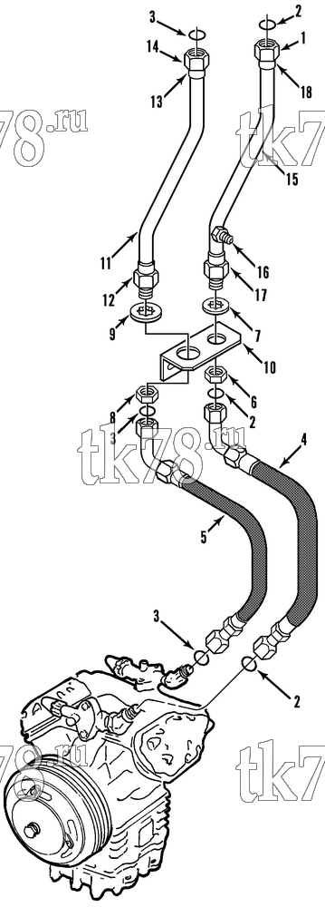 Каталог запчастей для Thermo King  COMPRESSOR CONNECTIONS & HOSES