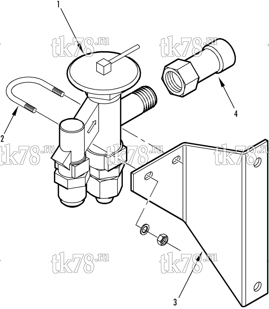 Каталог запчастей для Thermo King  EXPANSION VALVE GROUP